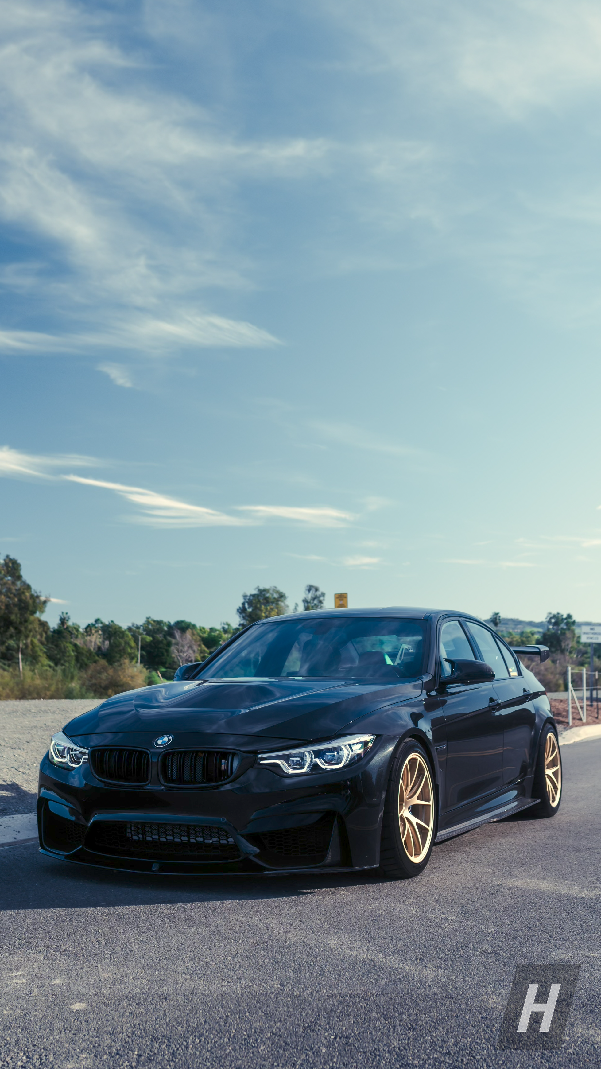 PSM Style Carbon Fiber Side Skirts - F80 M3 - Image 2