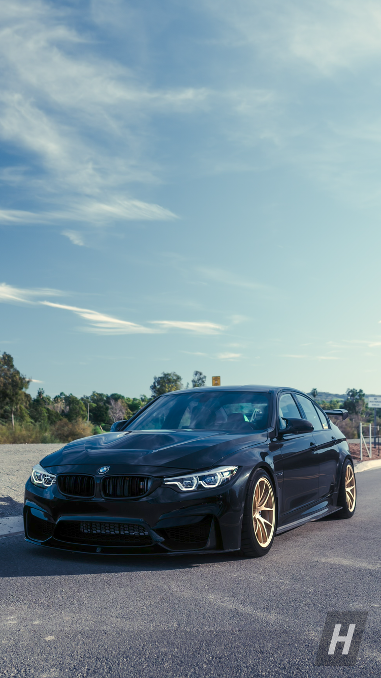 PSM Style Carbon Fiber Side Skirts - F80 M3 - Image 2