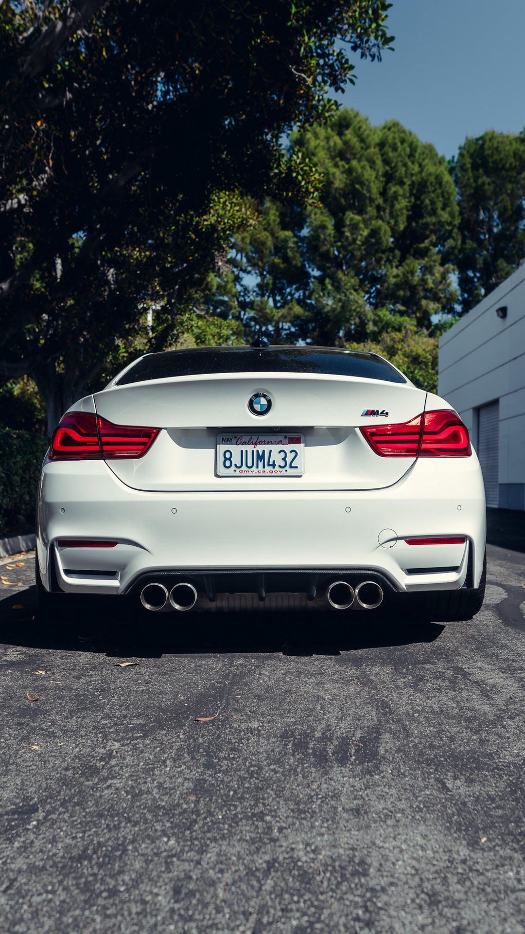 HM S55 Exhaust Tips - F80 M3 | F82 / F83 M4 | F87 M2C