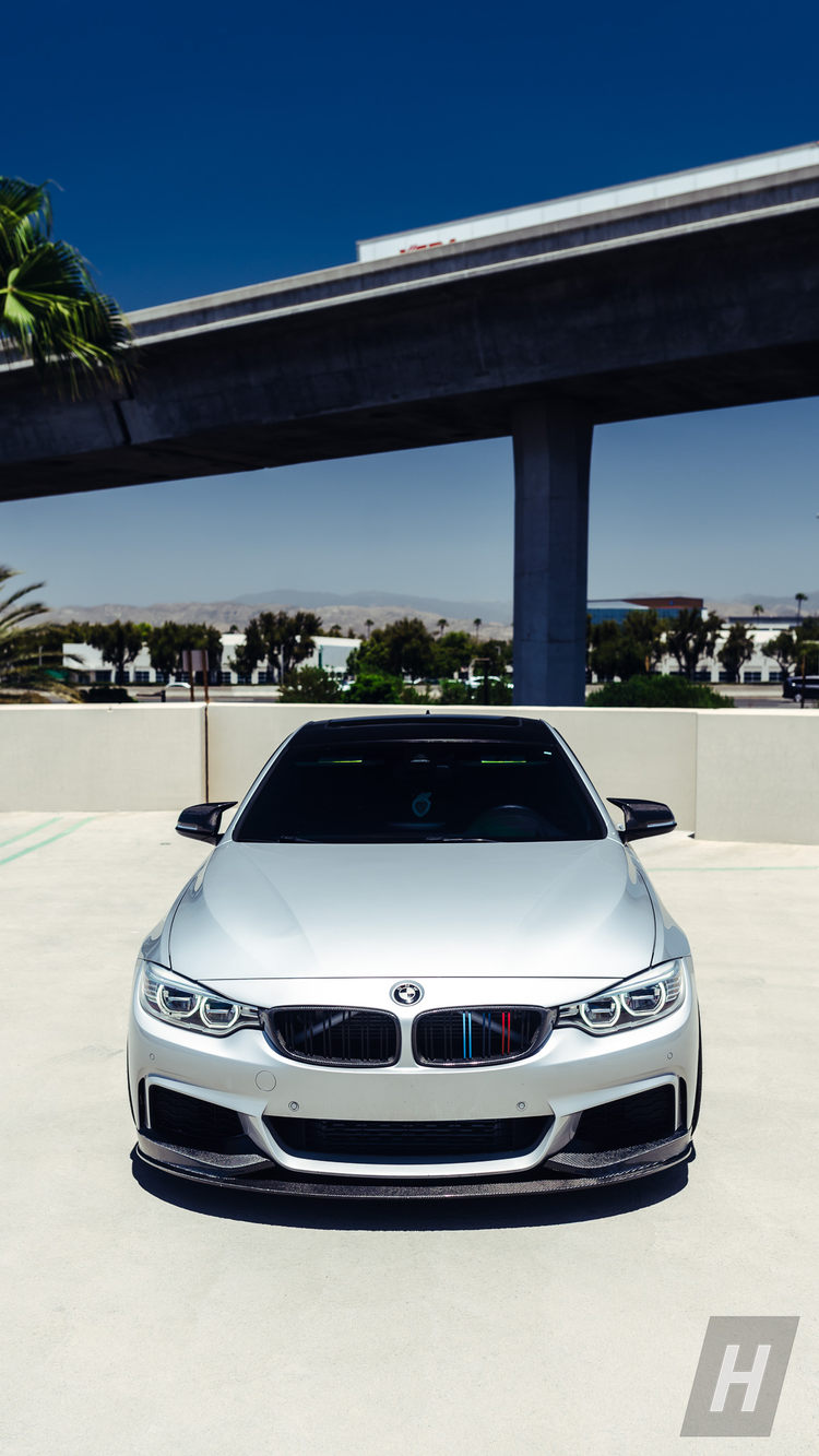 Performance V1 Carbon Fiber Front Lip - F3X 4-Series