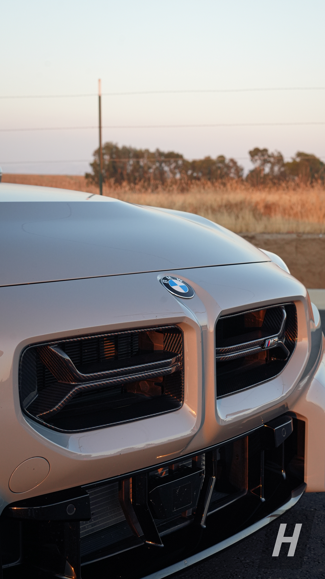 CSL V1 Carbon Fiber Front Grill - G87 M2