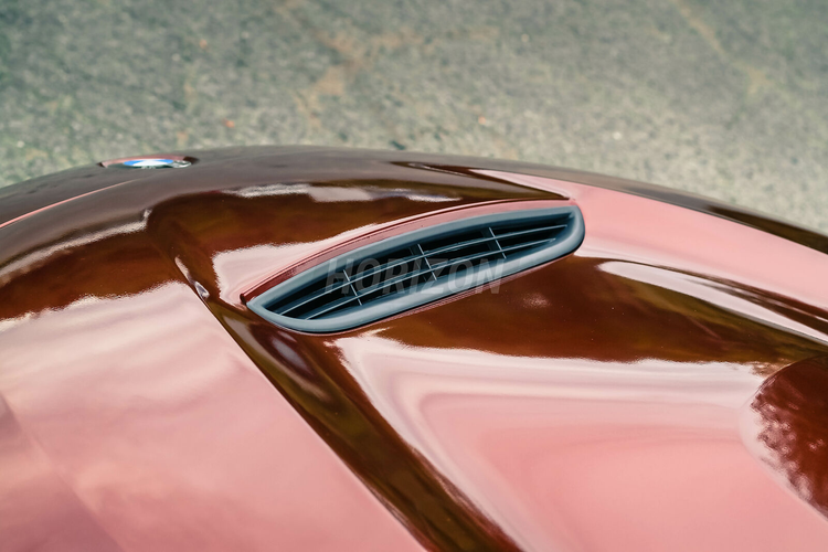 F30 GTS STYLE HOOD - F3X 3-SERIES